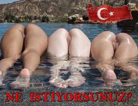 haklısın. bir serefsiz diyar